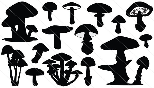 610x350 Mushroom Silhouette Vector