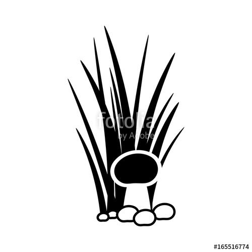 500x500 Bush Of Grass With Mushroom Silhouette Stock Image And Royalty
