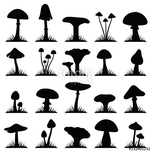500x500 Mushroom And Toadstool Collection