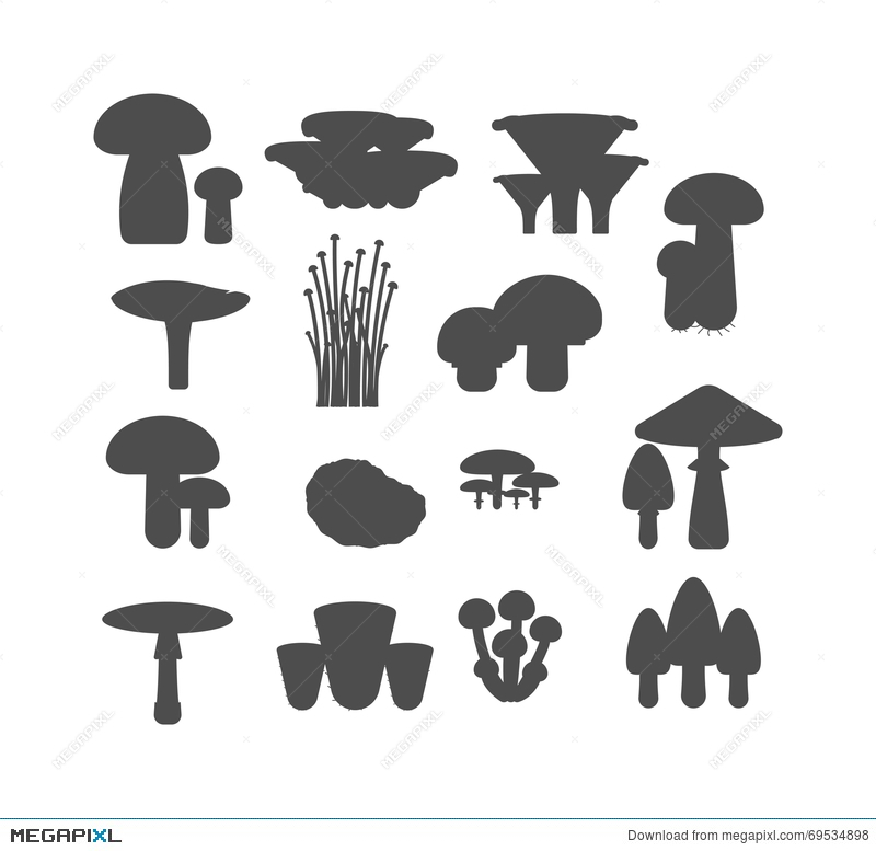 800x777 Mushrooms Black Silhouette Vector Illustration Set Different Types