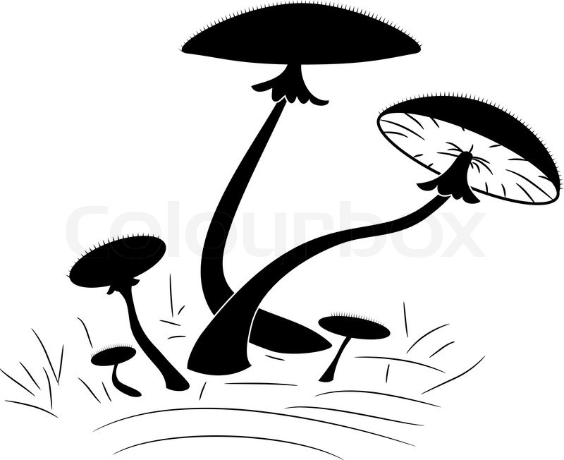 800x652 Pattern Of The Silhouette Of Mushrooms Stock Vector Colourbox