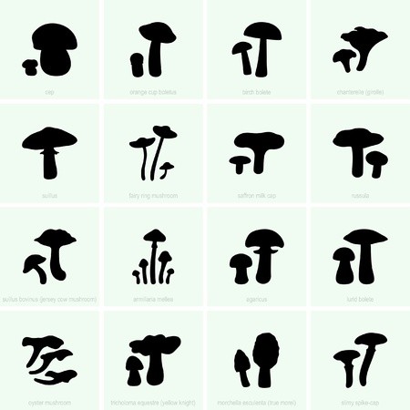 450x450 Set Of Edible Mushroom Silhouettes Royalty Free Vector Graphics
