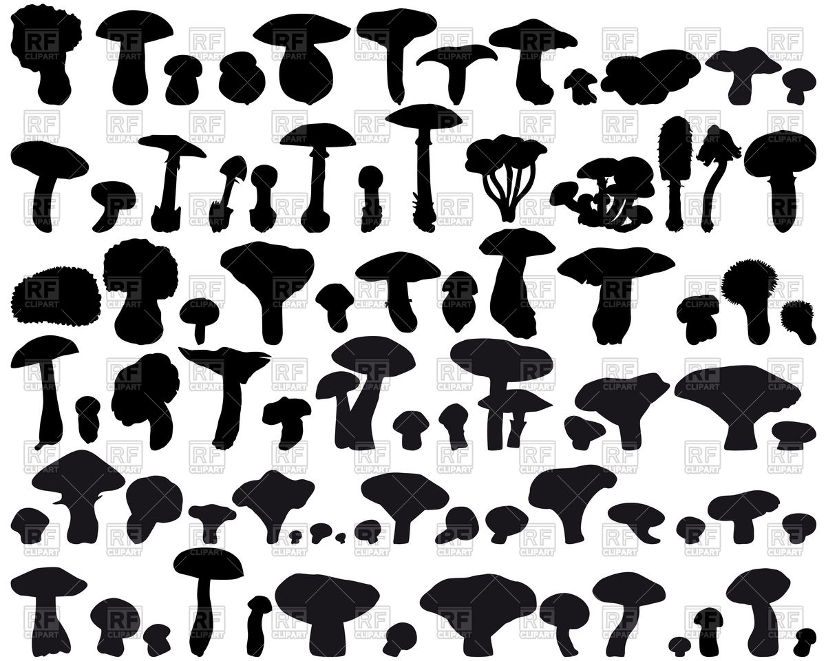 1200x960 Silhouettes Of Mushrooms