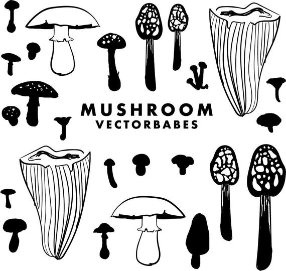 570x540 Mushroom Cricut Vector Pack Etsy