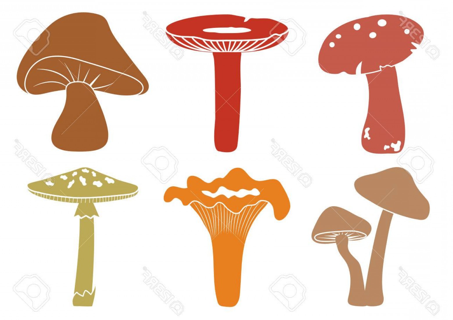 1560x1102 Mushroom Vector Art Handandbeak