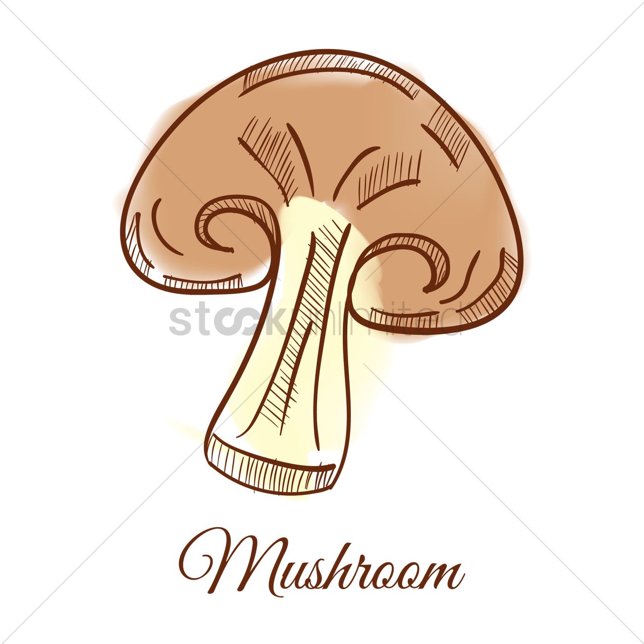 1300x1300 Mushroom Vector Image