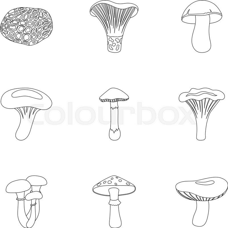 800x800 Mushroom Set Icons In Outline Style Stock Vector Colourbox