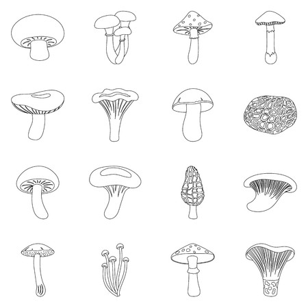 Mushroom Vector at Vectorified.com | Collection of Mushroom Vector free ...