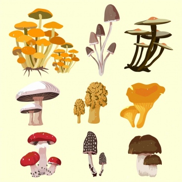 368x368 Mushrooms Vector Free Vector Download