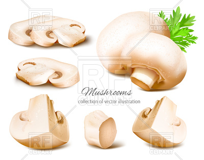 400x314 Mushrooms Whole And Slices Vector Image Of Food And Beverages