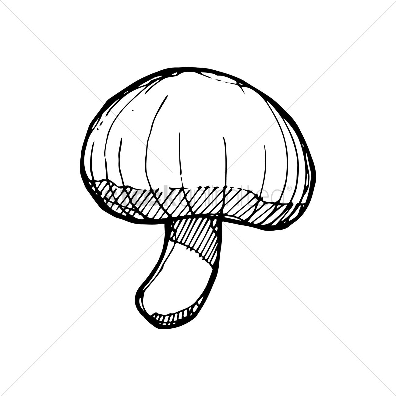 1300x1300 Mushroom Vector Image