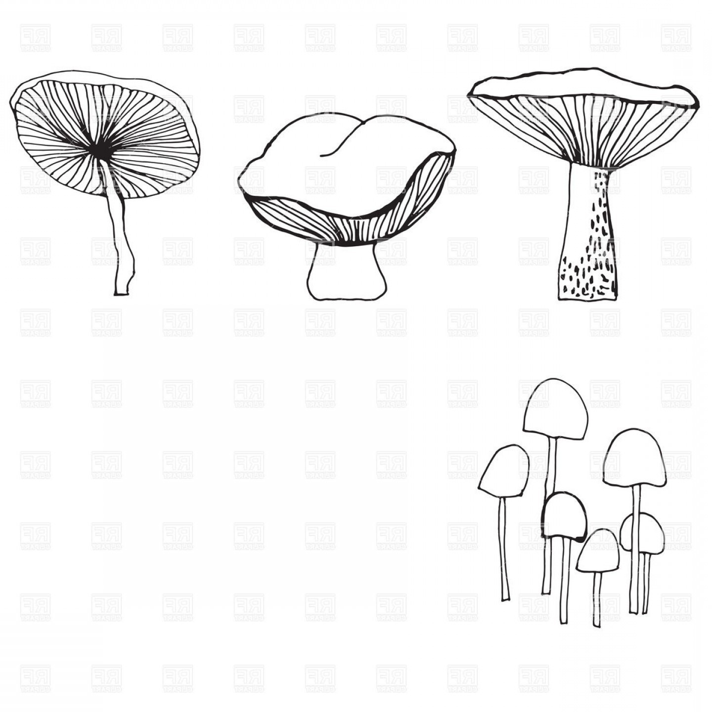 1440x1440 Outline Of Mushrooms Vector Clipart Handandbeak