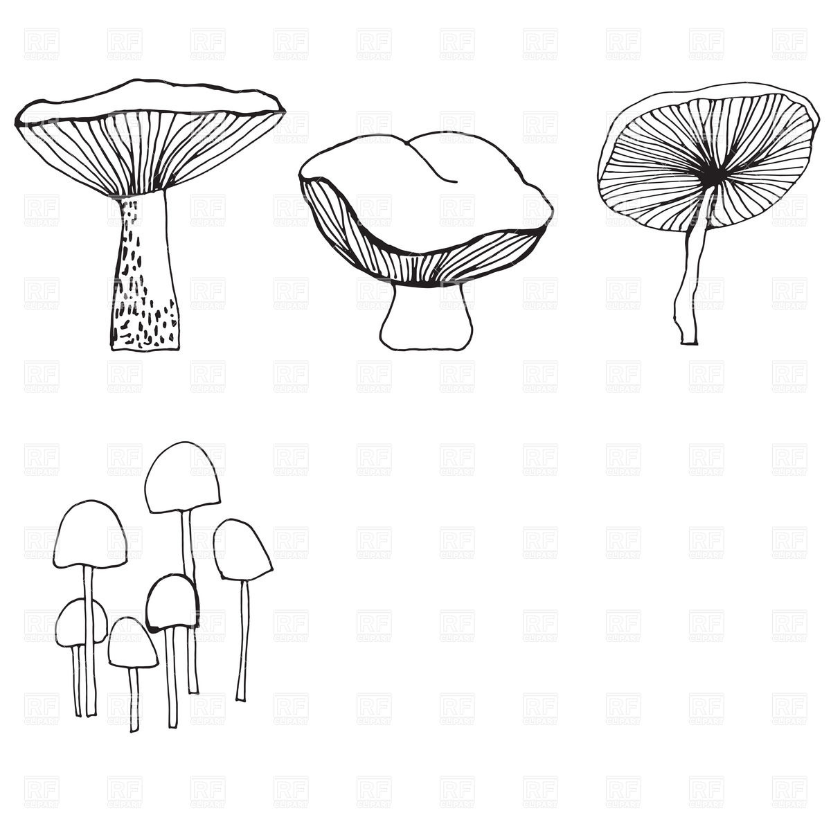 1200x1200 Outline Of Mushrooms Vector Image Of Plants And Animals