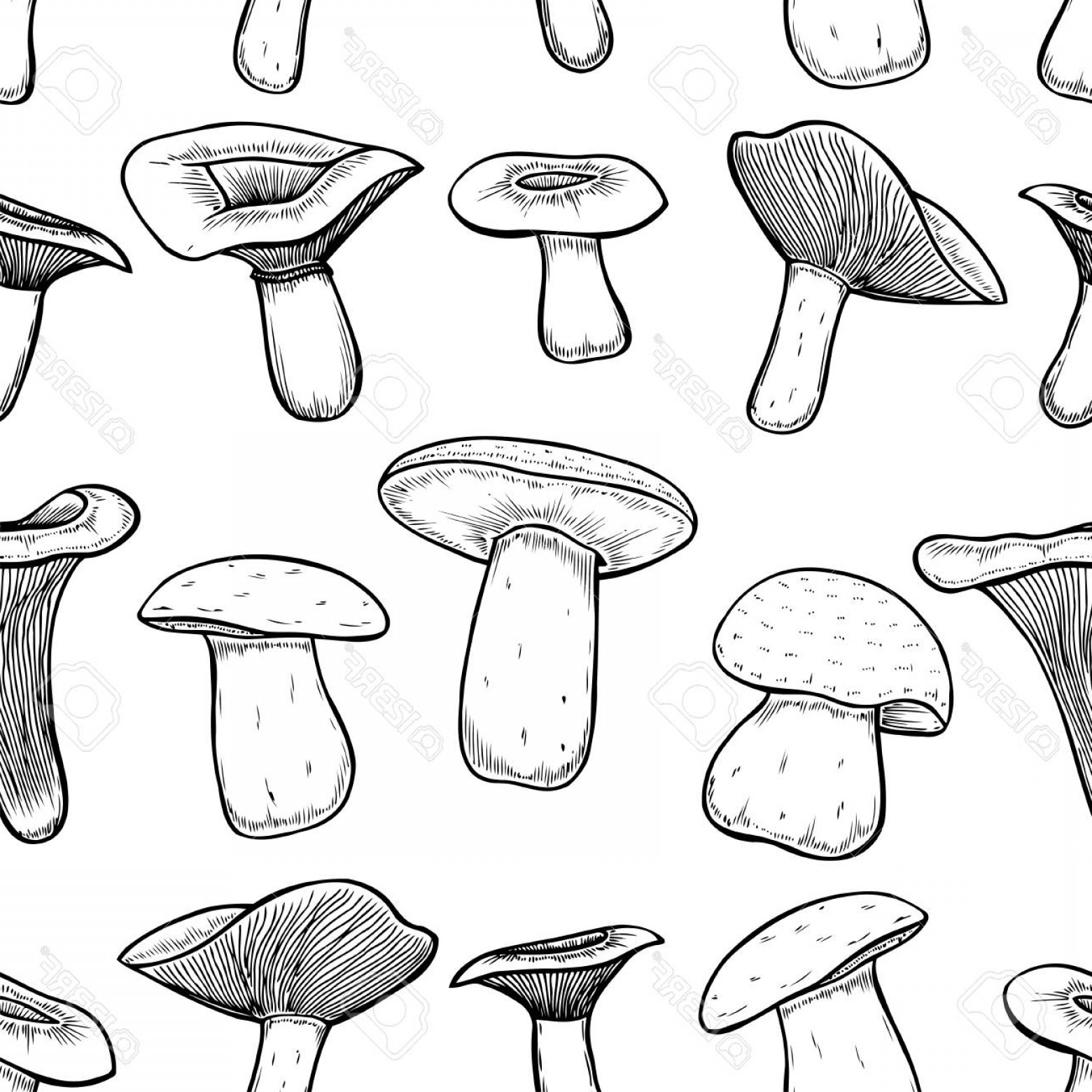 1560x1560 Photostock Vector Seamless Pattern With Mushrooms Hand Drawing