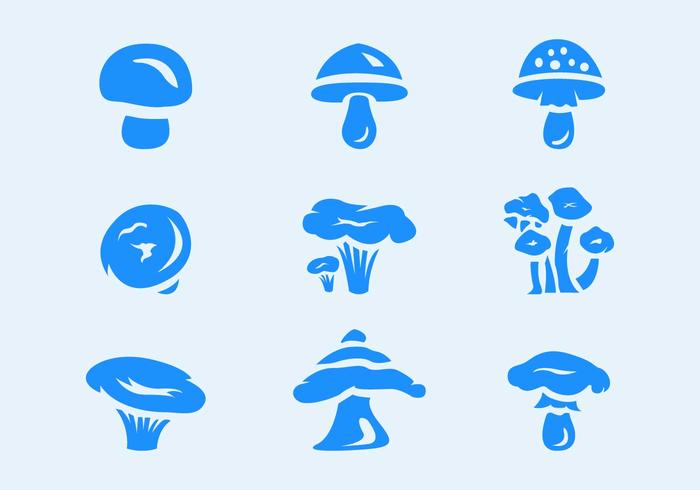 700x490 Six Mushrooms Vector