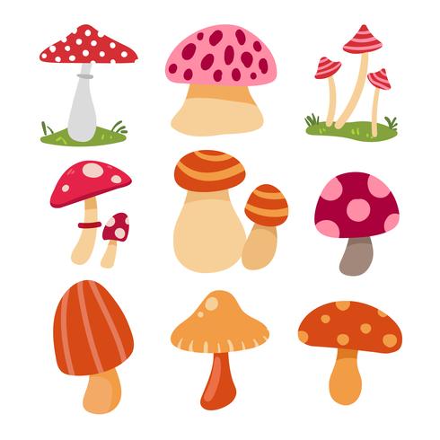490x490 Mushroom Vector Collection Design