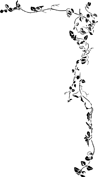 330x595 Music Border Right Border Clip Art