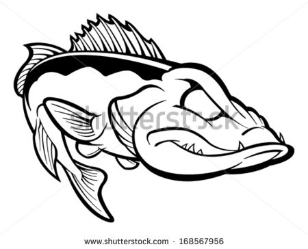 Muskie Vector