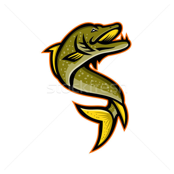 600x600 Muskie Stock Photos, Stock Images And Vectors Stockfresh