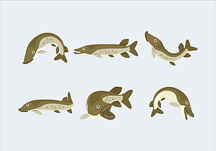 310x217 Free Iconic Muskie Fish Vectors Free Graphics