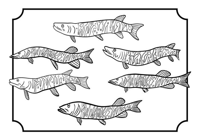 700x490 Muskie Vector Set