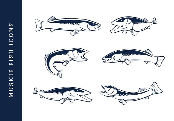 700x490 Free Walleye Vector Free Graphics Uihere