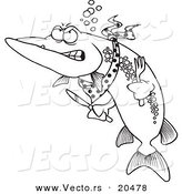 164x175 Royalty Free Muskie Fish Stock Vector Designs