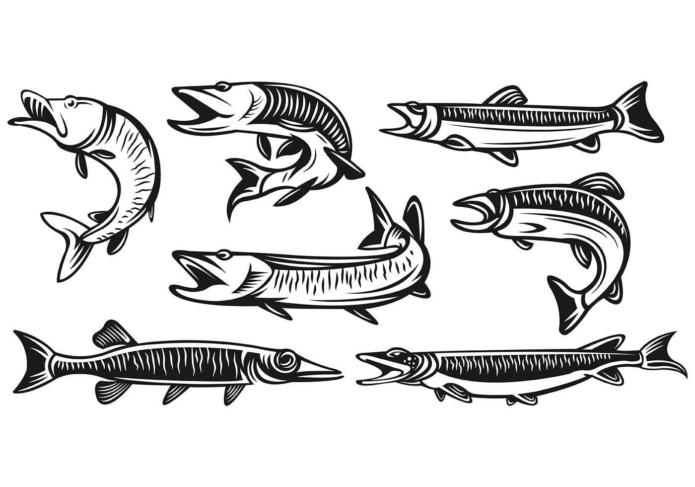 1400x980 Set Of Muskie Fish Vectors Graphics Fish Vector, Vector Art, Art
