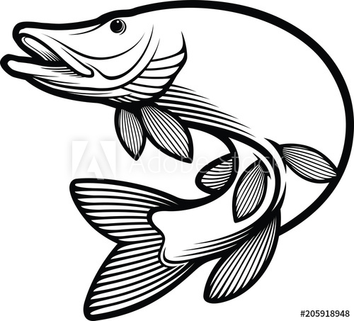 Musky Coloring Page Coloring Pages