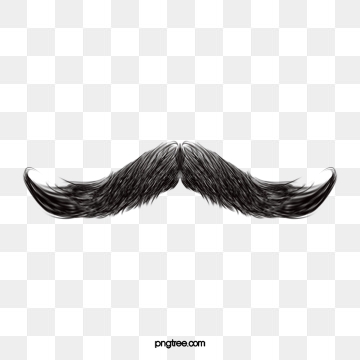 360x360 Moustache Png, Vector, And Clipart With Transparent