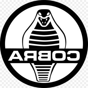 300x300 Png Ac Cobra Shelby Mustang Ford Mustang Ford Shelby C Hoodamathrun