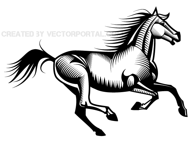 Mustang Horse Vector