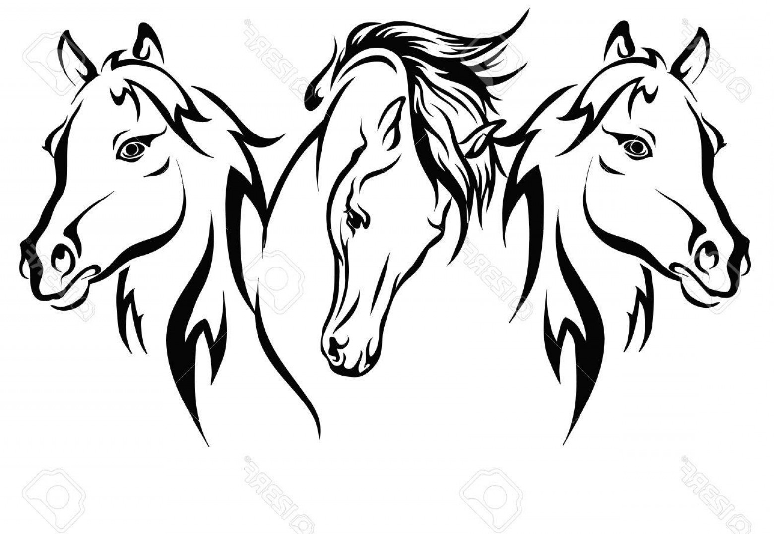 Photostock Vector Three Horses Vector Format Three Horses Circuit 1560x1076 Photostock Vector Three Horses Vector Format Three Horses Circuit