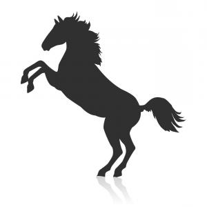 Rearing Up Black Mustang Horse Vector Silhouette Standing Side 300x300 Rearing Up Black Mustang Horse Vector Silhouette Standing Side