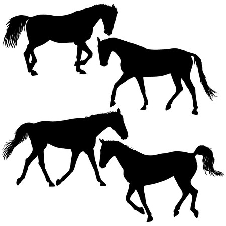 Set Silhouette Of Black Mustang Horse Vector Illustration 450x450 Set Silhouette Of Black Mustang Horse Vector Illustration