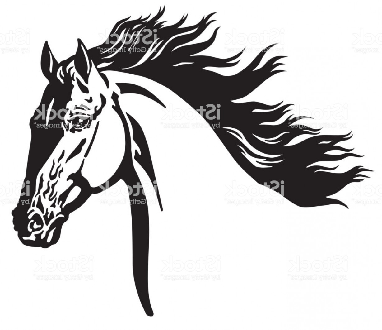 Vector Cartoon Wild Mustang Hoodamathrun 1228x1059 Vector Cartoon Wild Mustang Hoodamathrun