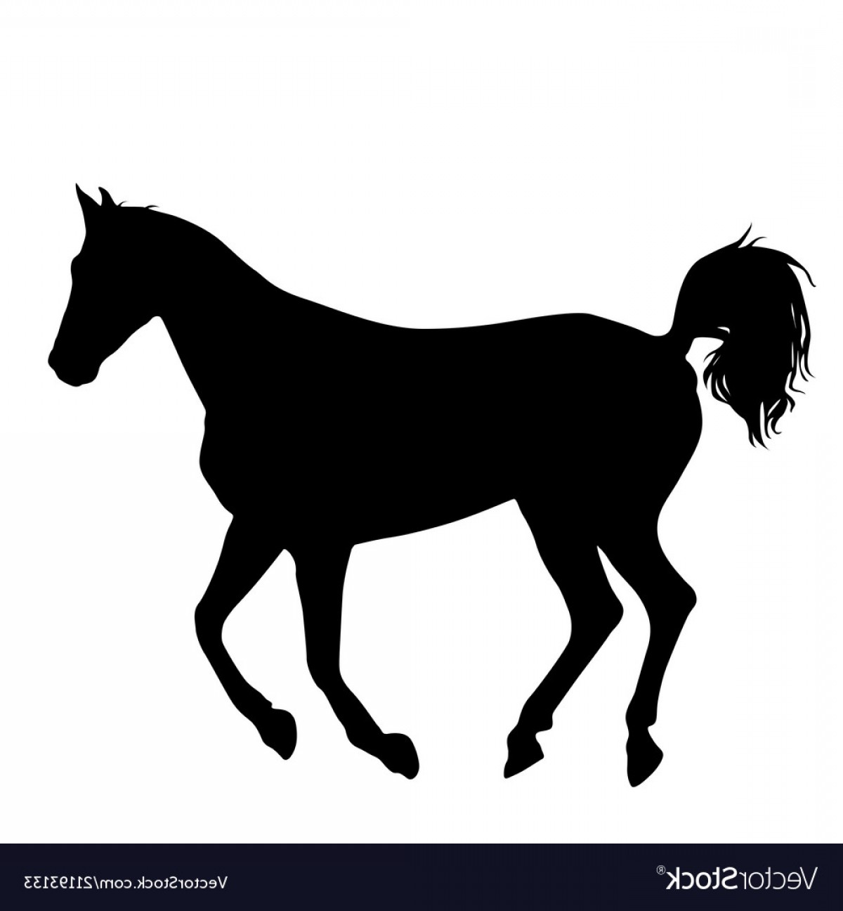 Animal Silhouette Of Black Mustang Horse Vector Soidergi 1200x1296 Animal Silhouette Of Black Mustang Horse Vector Soidergi