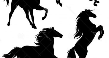 Baby Mustang Horse Vector Archives 367x195 Baby Mustang Horse Vector Archives