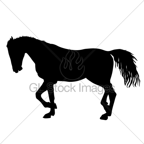 500x500 Silhouette Of Black Mustang Horse Vector Illustration Gl Stock