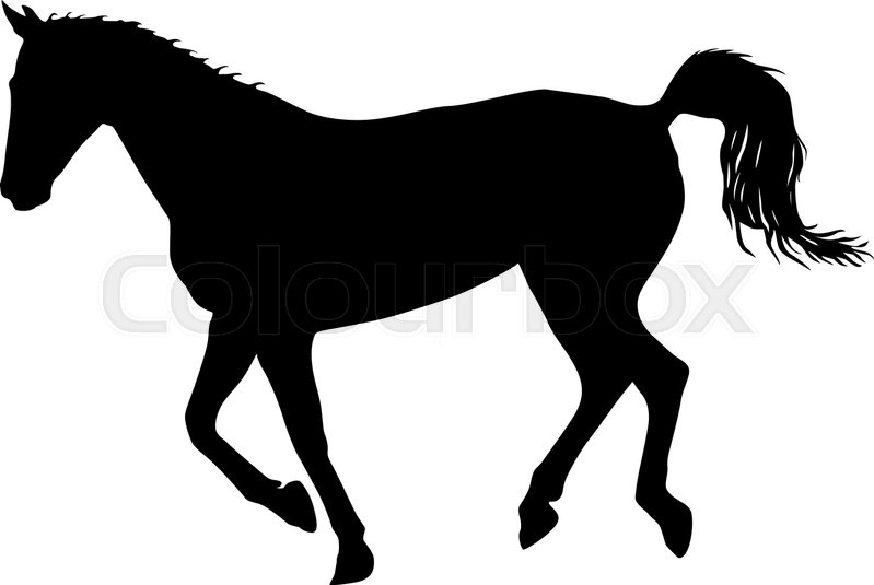 799x535 Silhouette Of Black Mustang Horse Stock Vector Colourbox