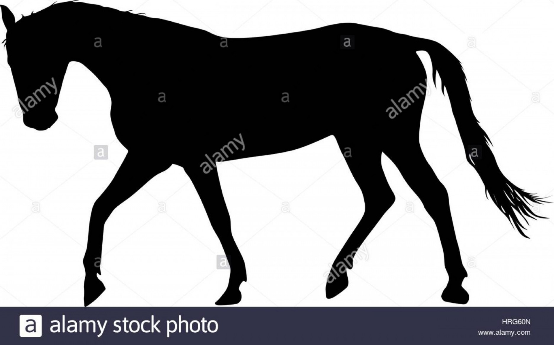 1872x1167 Stock Photo Silhouette Of Black Mustang Horse Vector Illustration