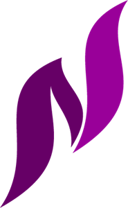 N S Letter Logo Vector 185x300 N S Letter Logo Vector