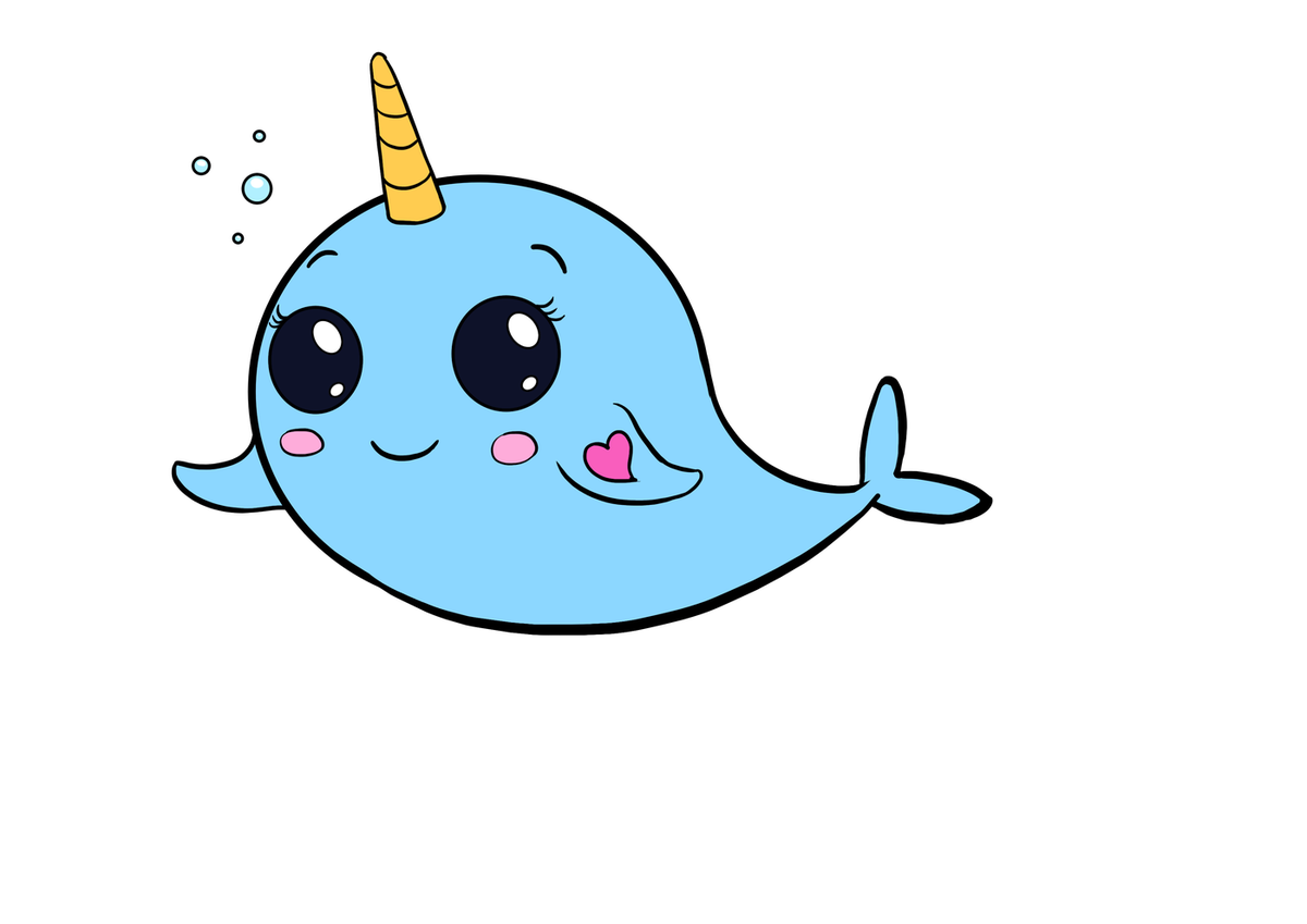 Narwhal Cartoon Drawing at Explore collection of