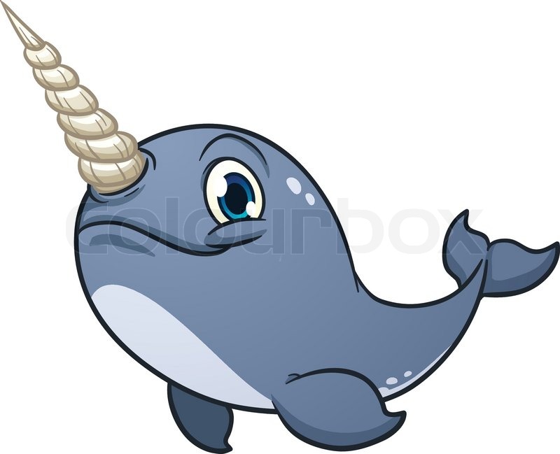 800x649 Cute Cartoon Narwhal Vector Stock Vector Colourbox