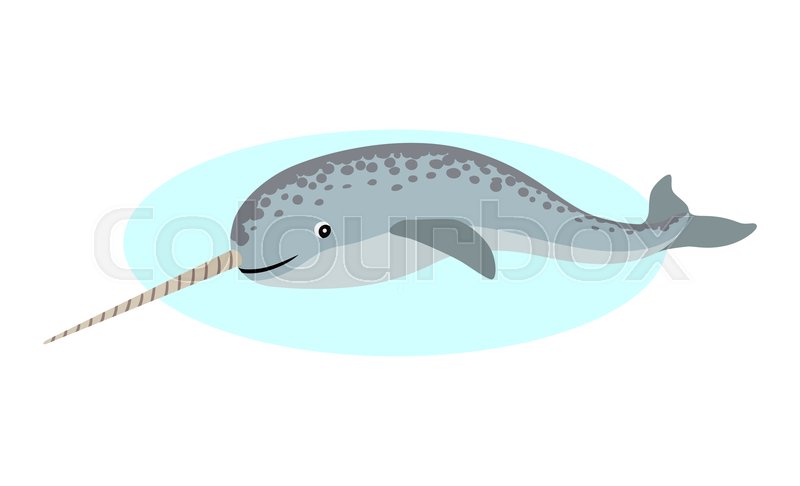 800x486 Cute Narwhal With Long Horn Icon, Stock Vector Colourbox