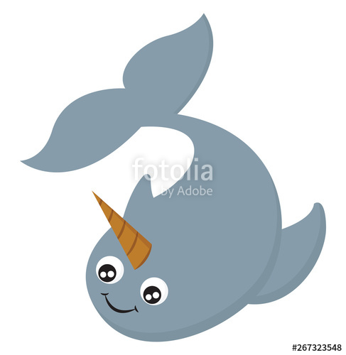 487x500 Narwhal, Vector Or Color Illustration Stock Image And Royalty