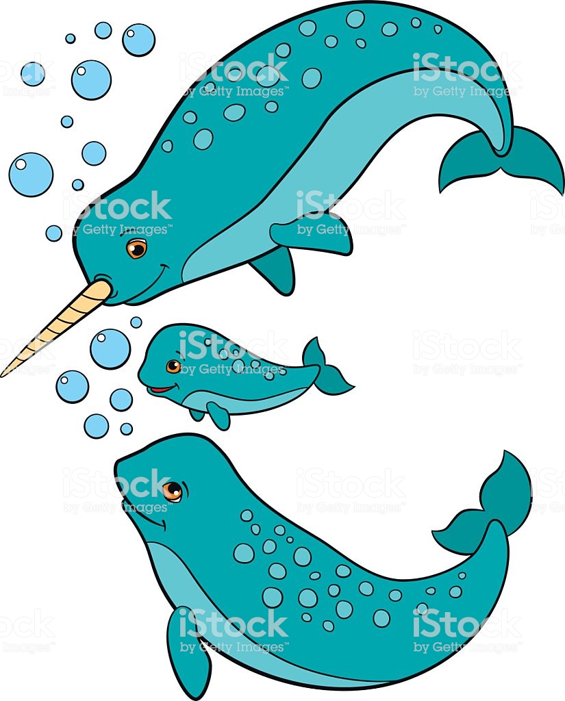 825x1024 Narwhal Vector Images In Collection