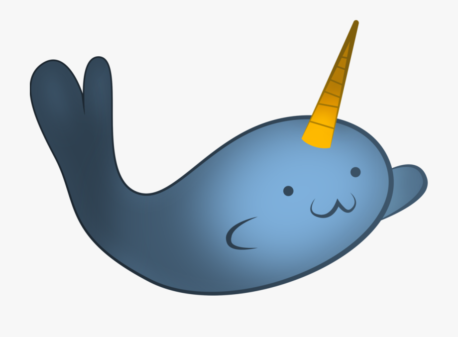 920x677 Narwhal Vector