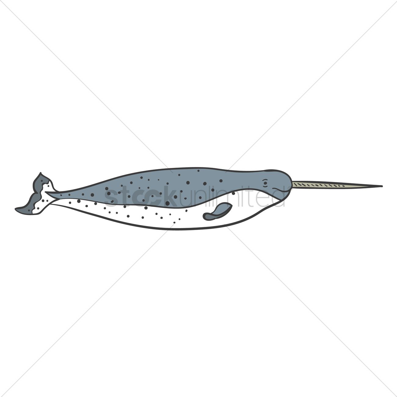 1300x1300 Narwhal Vector Image