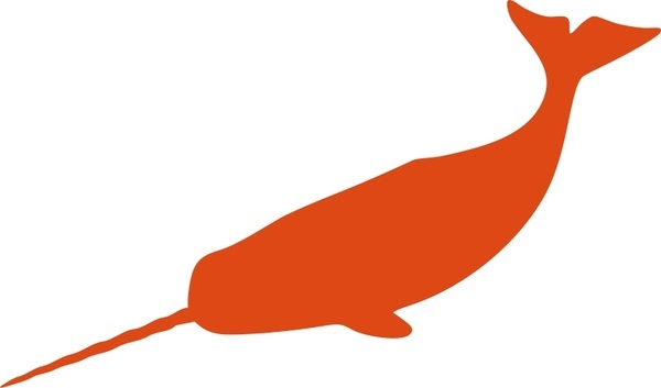 600x353 Narwhal Free Vector Download